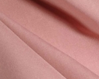 DustyRose312412.jpg-nggid03570-ngg0dyn-200x200x100-00f0w010c011r110f110r010t010