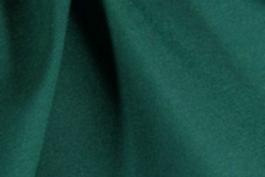 Forest355455