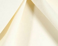 Ivory301401.jpg-nggid03576-ngg0dyn-200x200x100-00f0w010c011r110f110r010t010