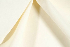 Ivory301401