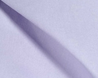 Lilac331.jpg-nggid03580-ngg0dyn-200x200x100-00f0w010c011r110f110r010t010