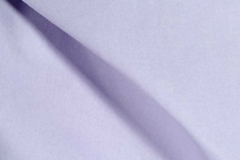Lilac331